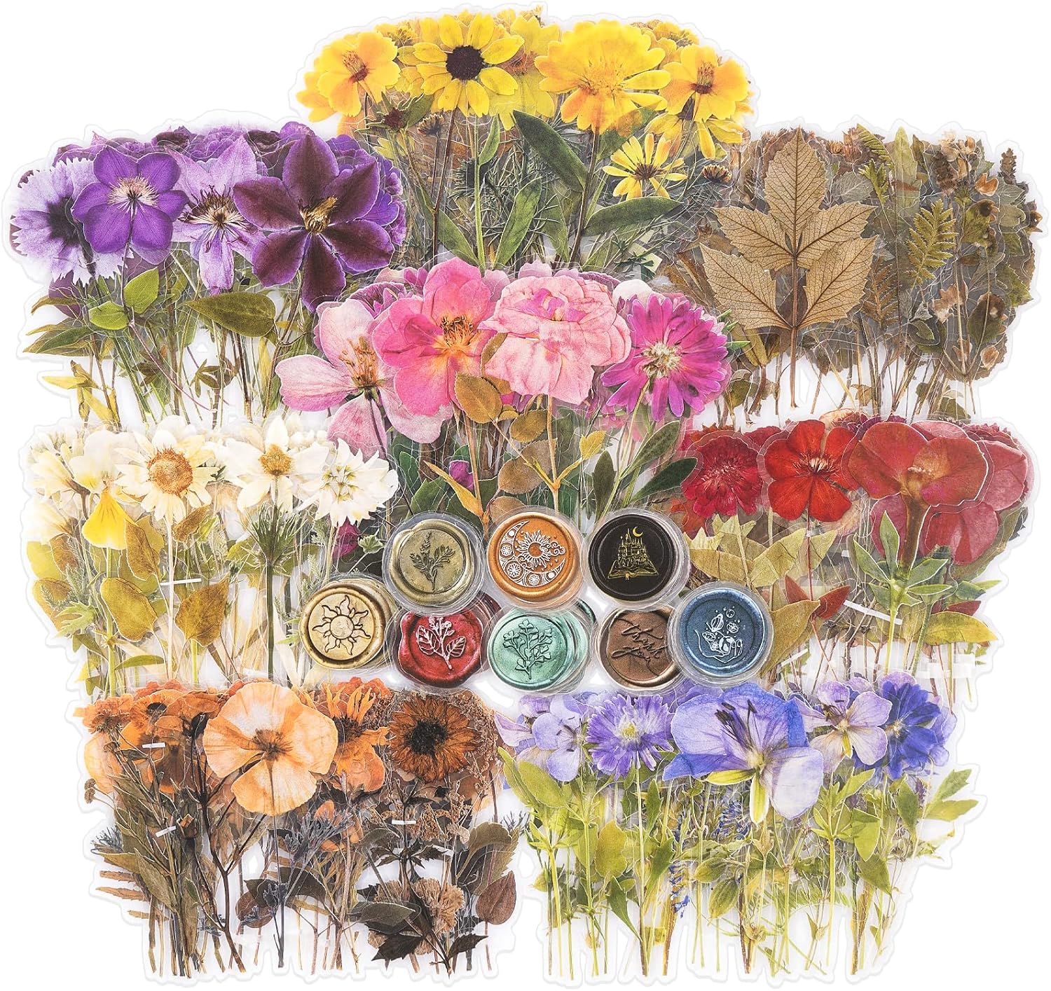Piece Transparent Floral