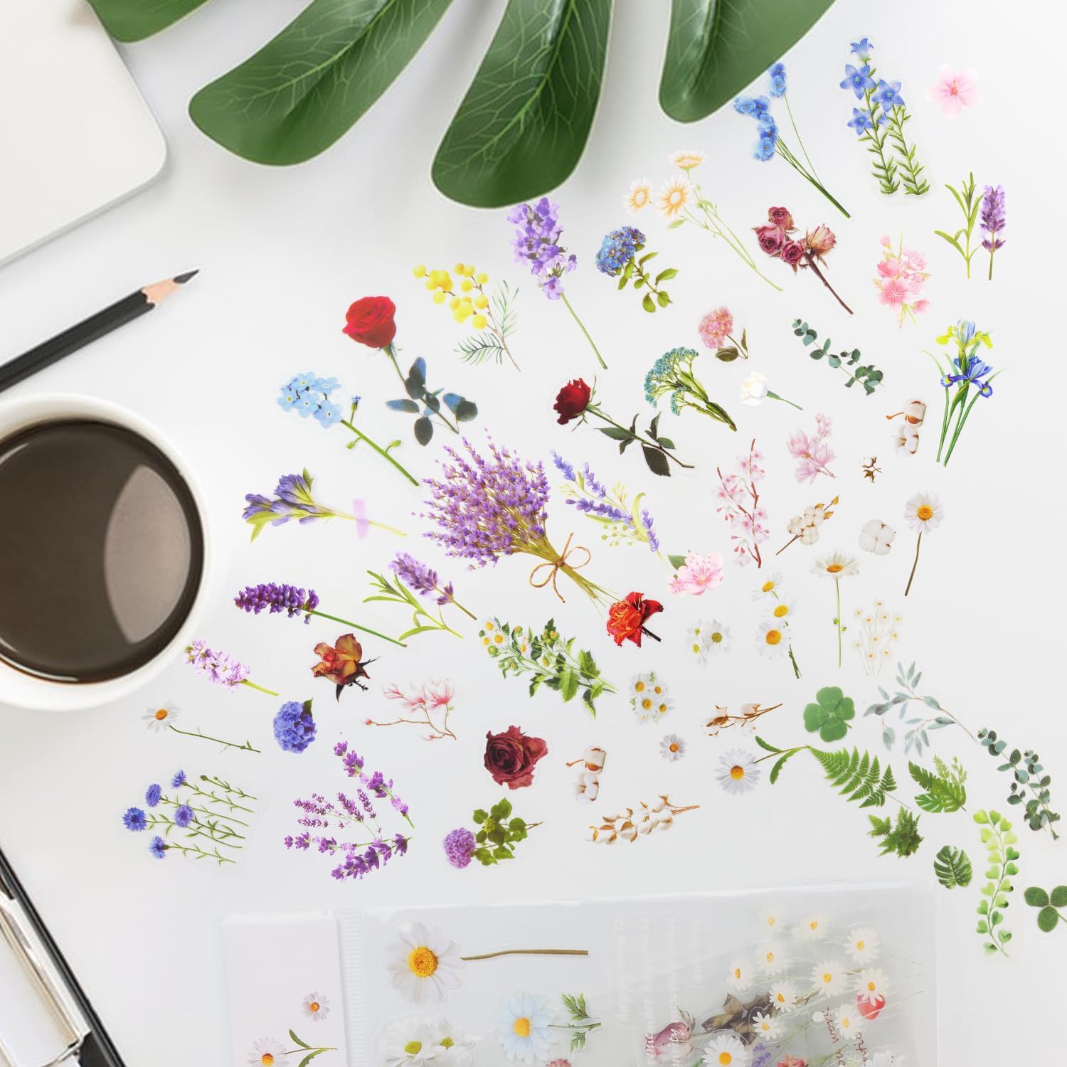 Piece Botanical Clear - Hình 2